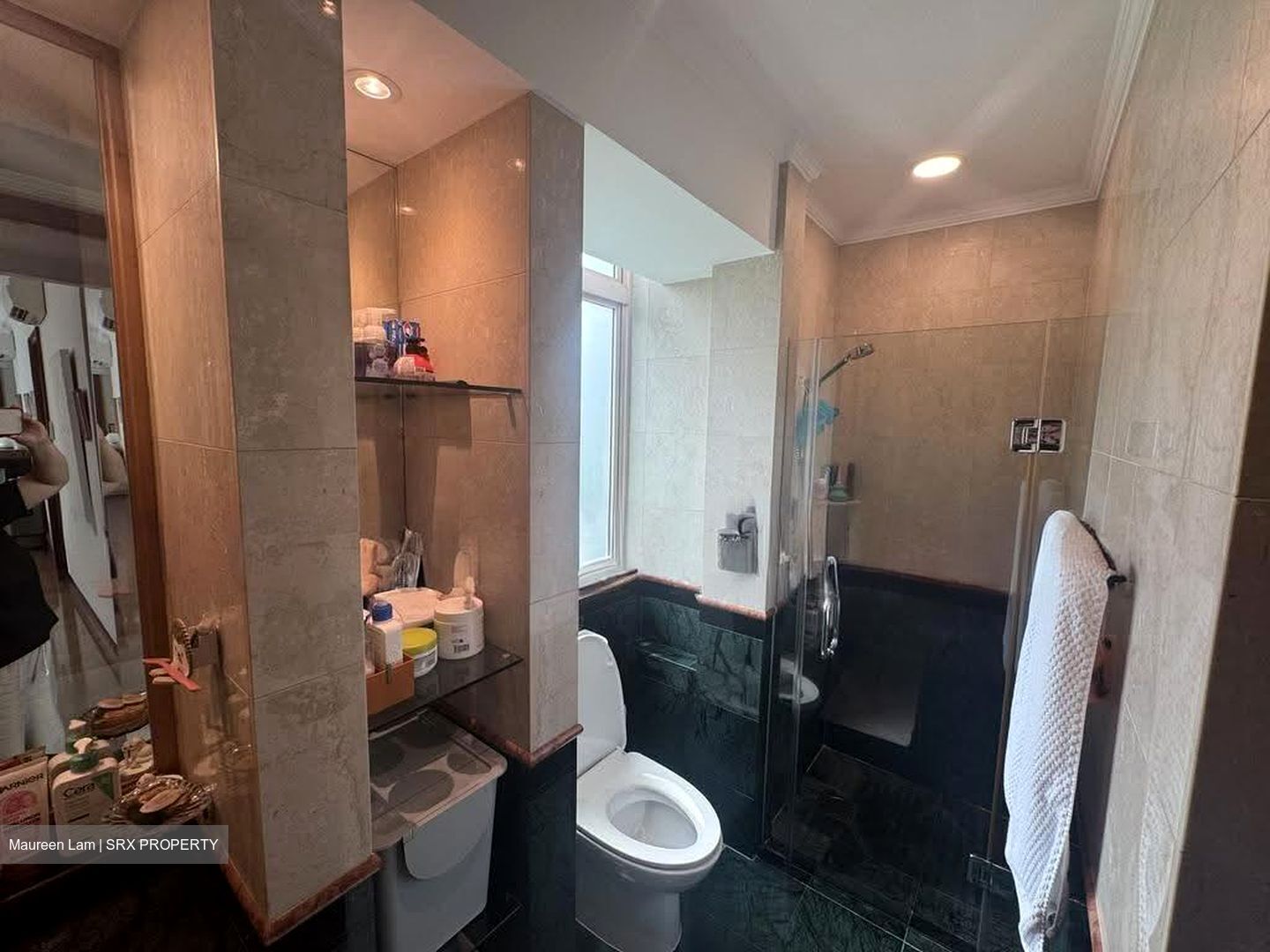 Melrose Park (D10), Condominium #630162291